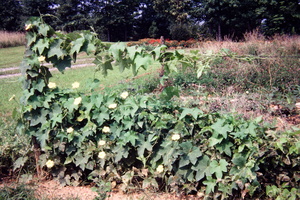 77-78 140